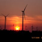 Himmel mit Windrädern