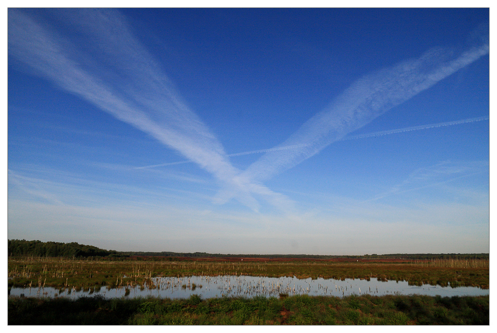 Himmel + Moor