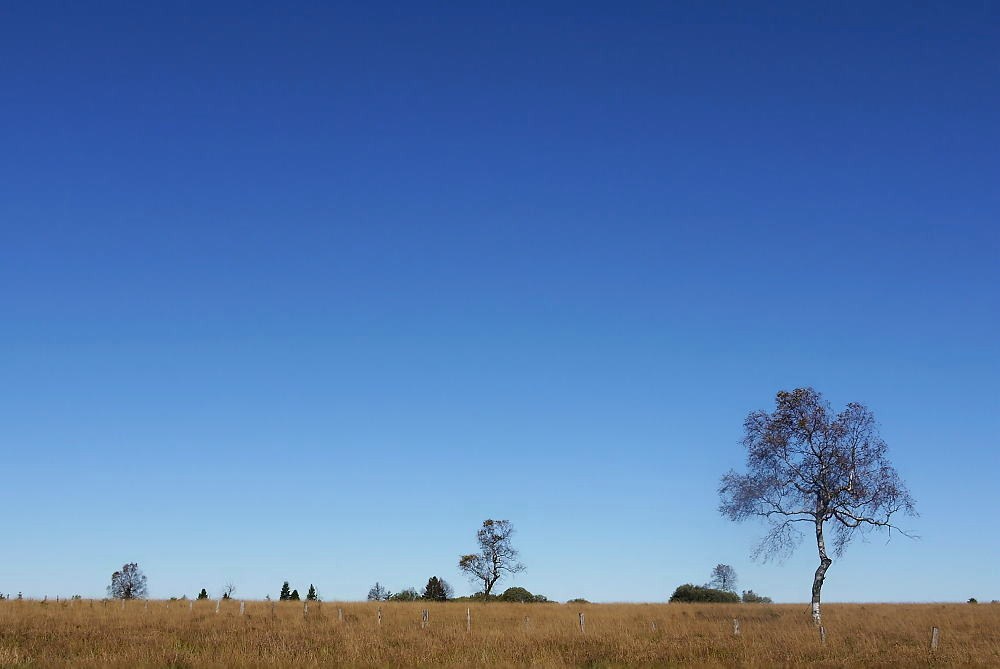 Himmel & Moor