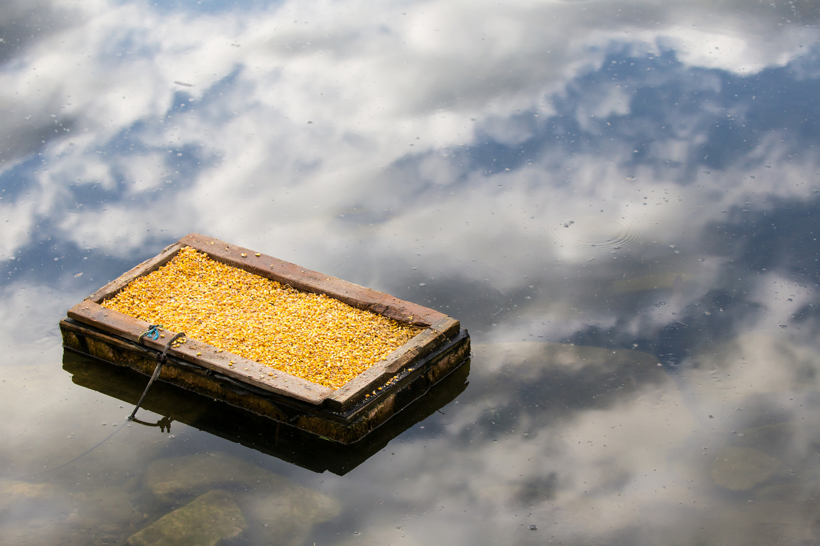 Himmel oder Wasser?