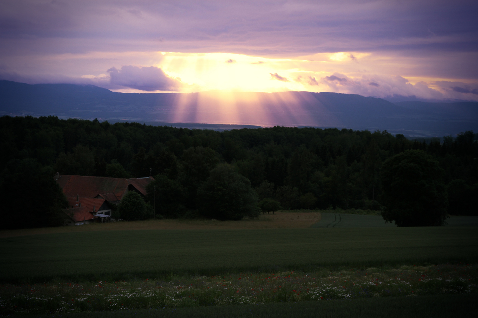 Himmel öffne Dich