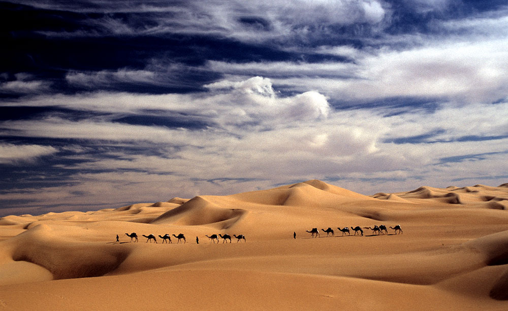 Himmel, Sand und Kamele