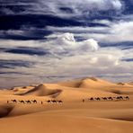 Himmel, Sand und Kamele