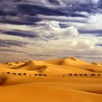 Himmel, Sand und Kamele -RELOAD- das Original (s.u.) fiel im Voting durch