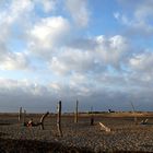 Himmel - Strand - Dünen