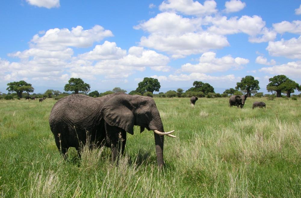 Himmel über Afrika