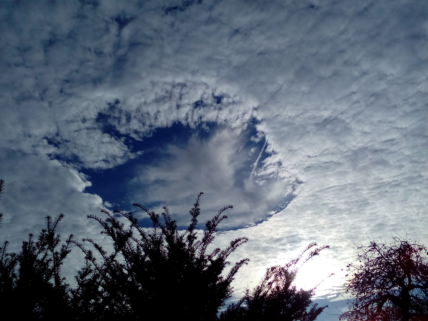 Himmel über Aldingen- 8.12.16 10.26 Uhr