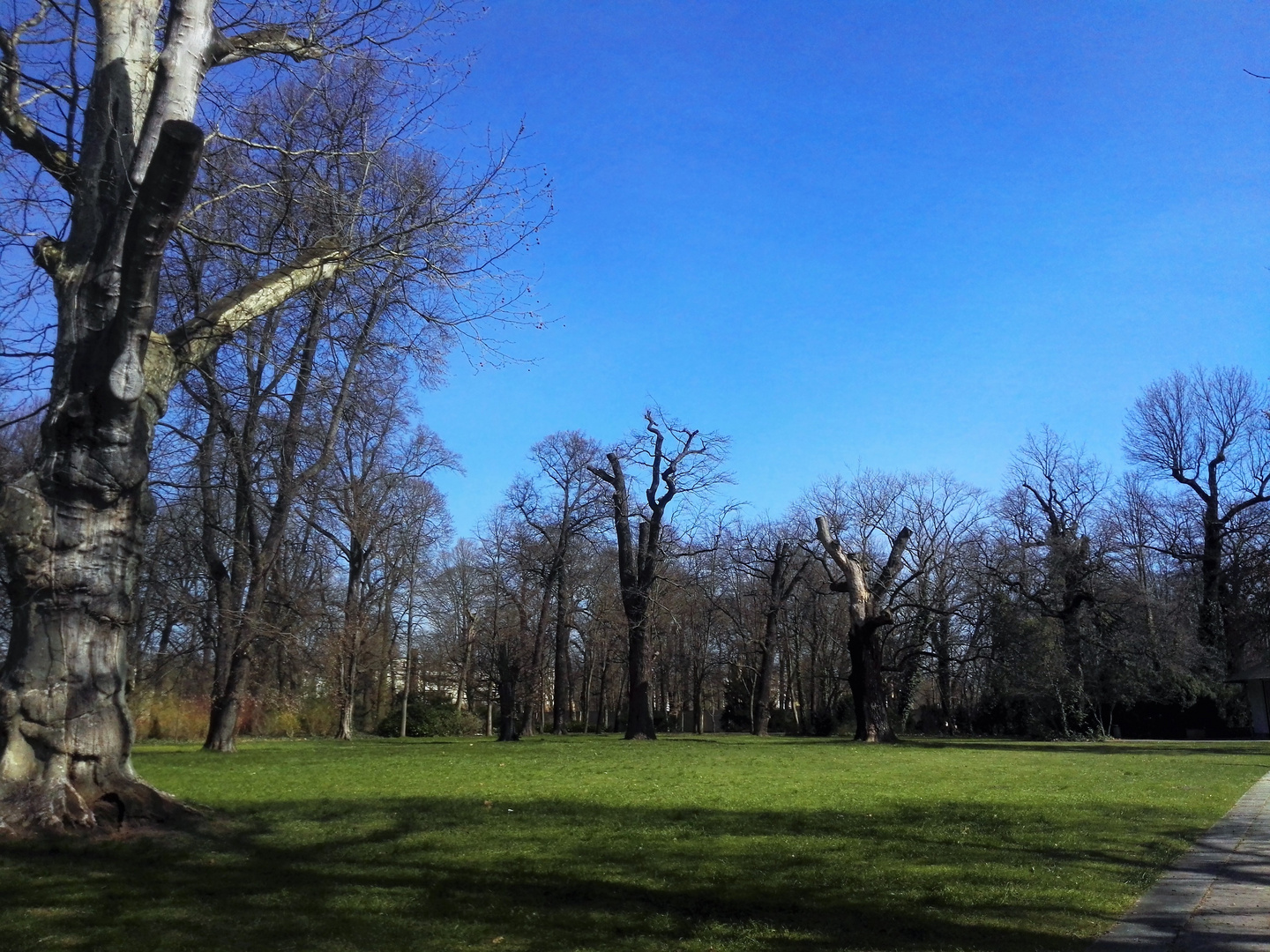 himmel über berlin