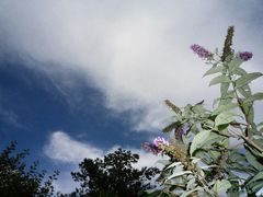 Himmel über Bremer Parzelle