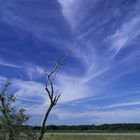 Himmel über dem Diepholzer Moor. 2