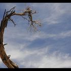 Himmel über dem Grand Canyon USA 2