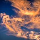 Himmel über dem Hörnumer Weststrand