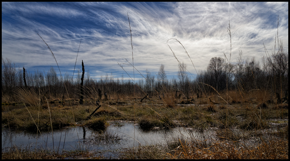 Himmel über dem Moor