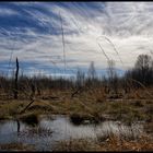 Himmel über dem Moor