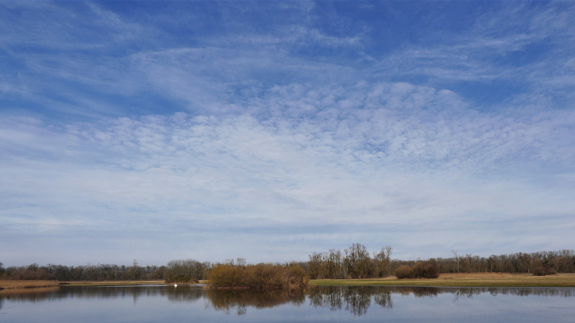 Himmel über dem Rheintal