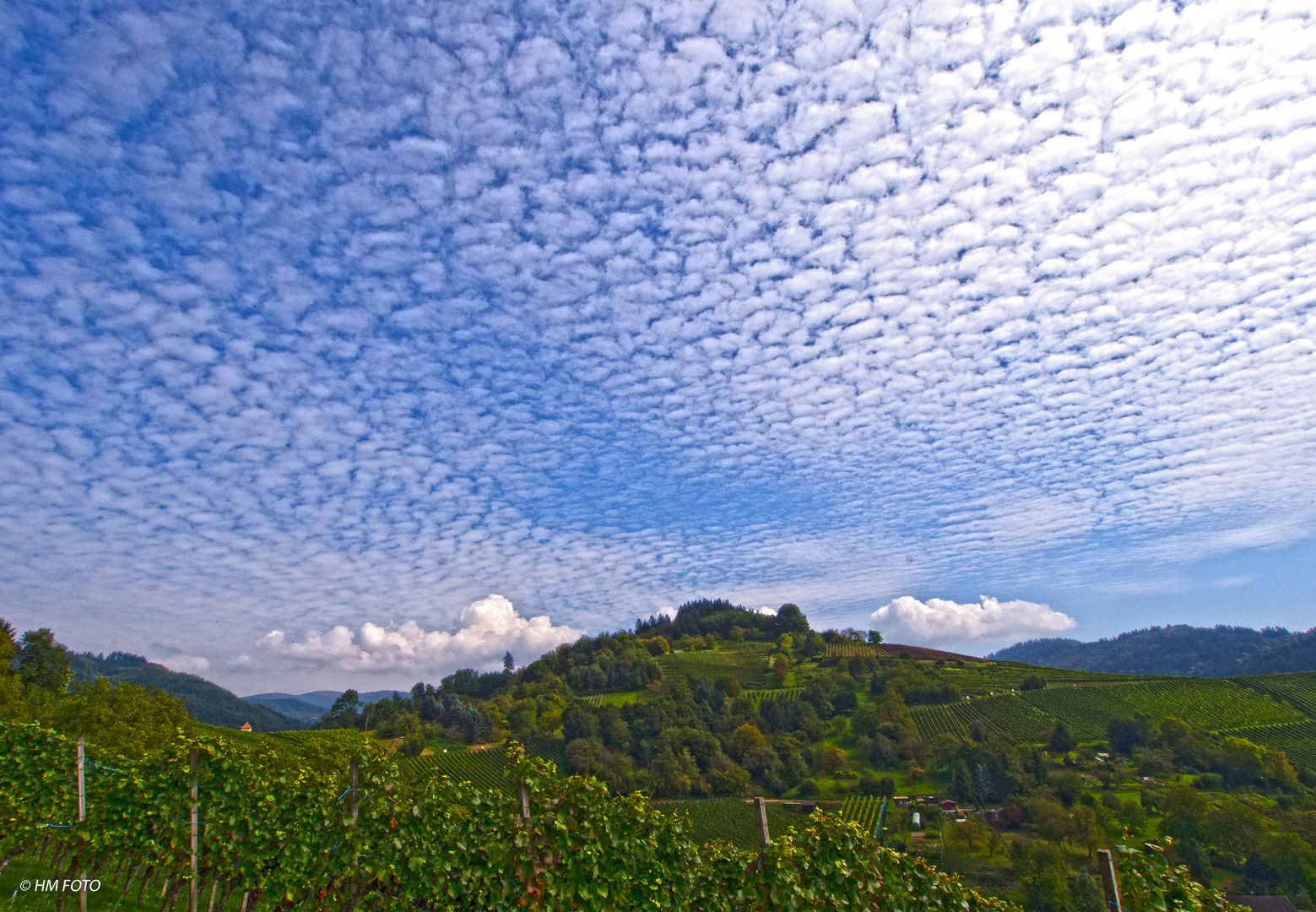 Himmel über dem Weinberg