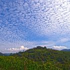 Himmel über dem Weinberg