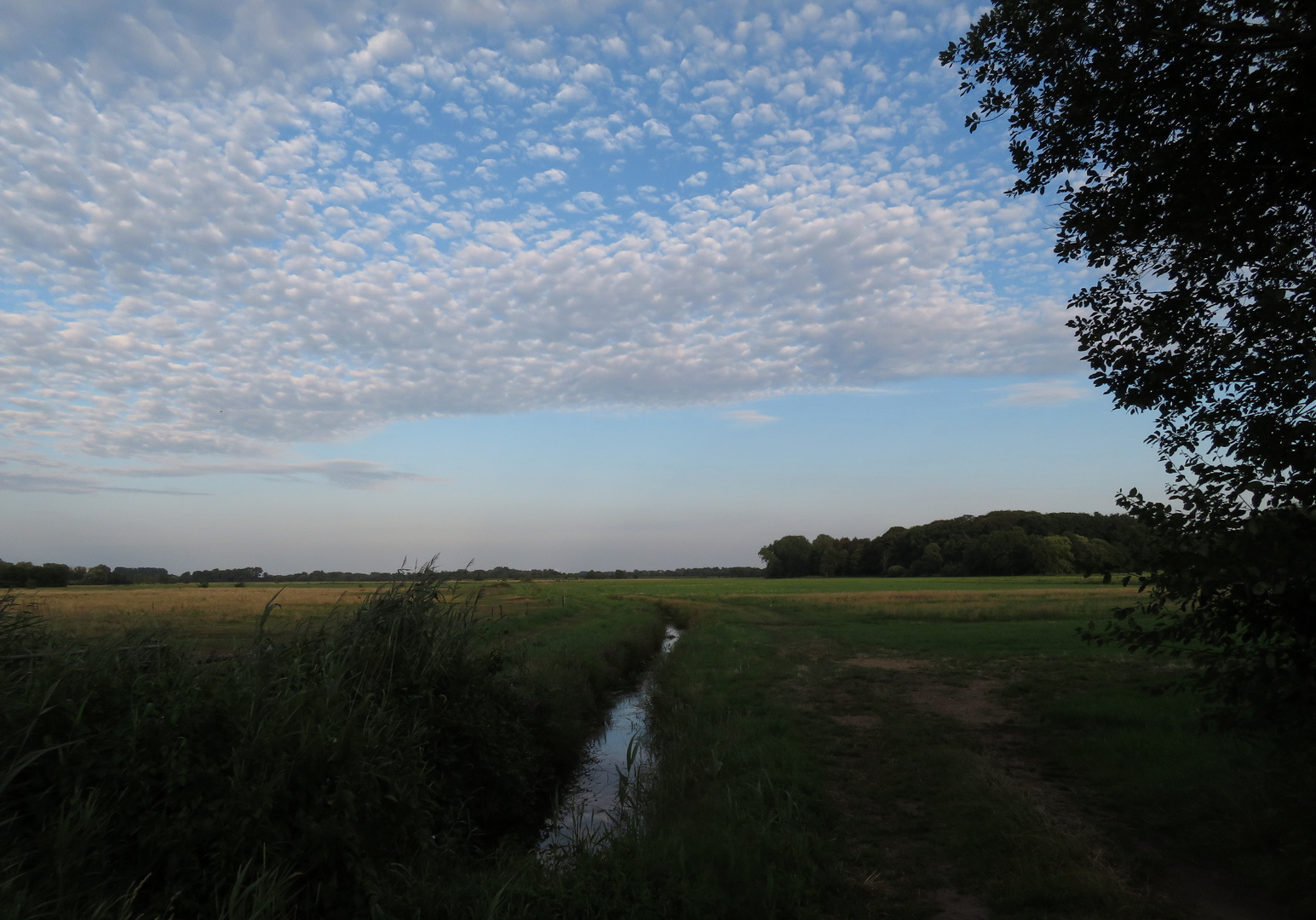 Himmel über den Wiesen 