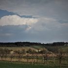 Himmel über der Obstplantage