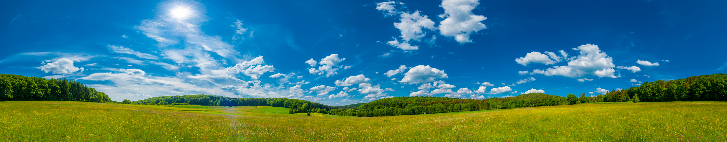 Himmel über der Sommerwiese 1