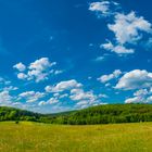 Himmel über der Sommerwiese 1