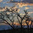 Himmel über die Kalahari-Wüste