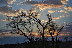 Himmel über die Kalahari-Wüste