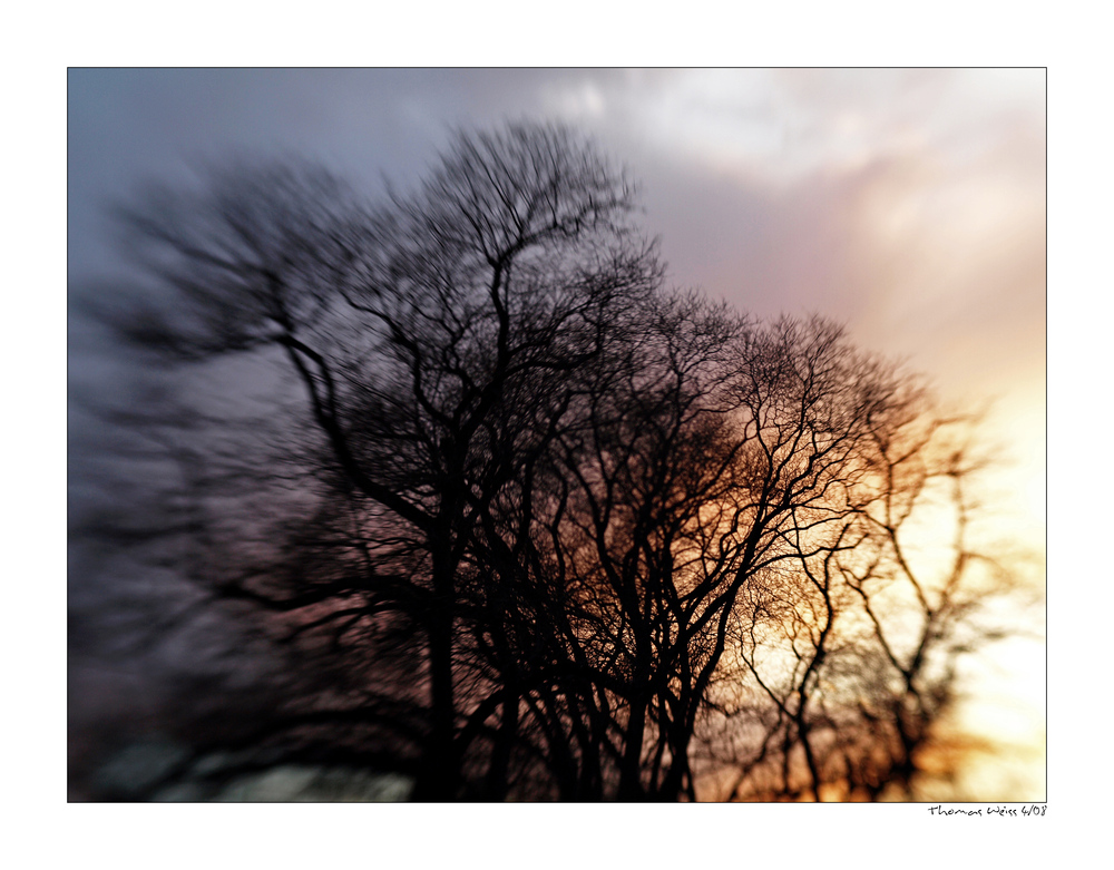 Himmel über Dresden