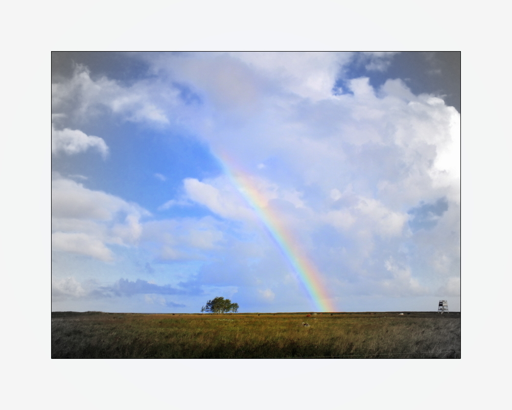 Himmel über Estland 1