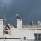 Himmel über Martina Franca