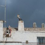 Himmel über Martina Franca