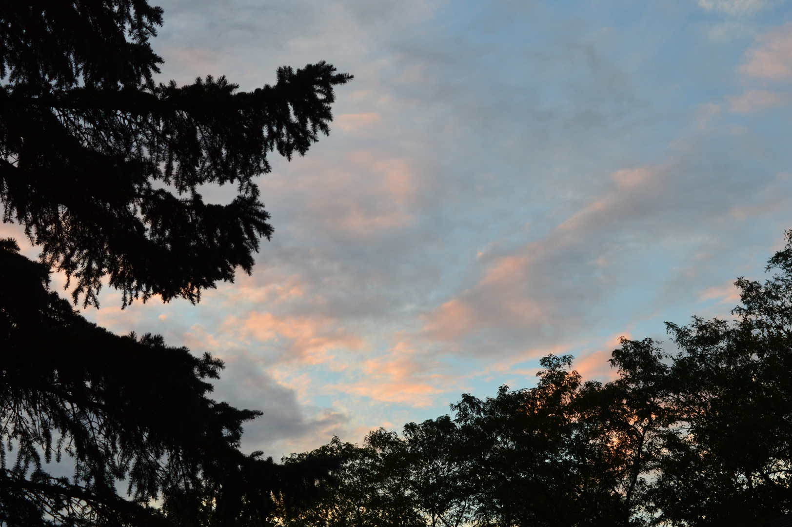 Himmel über mein Garten