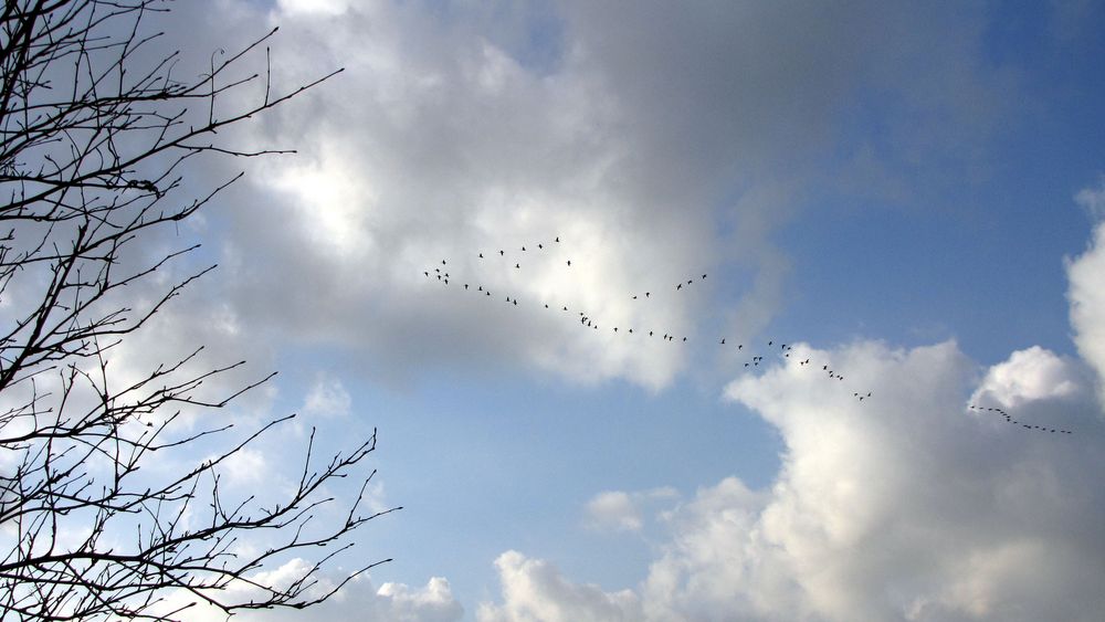 Himmel über Ostfriesland