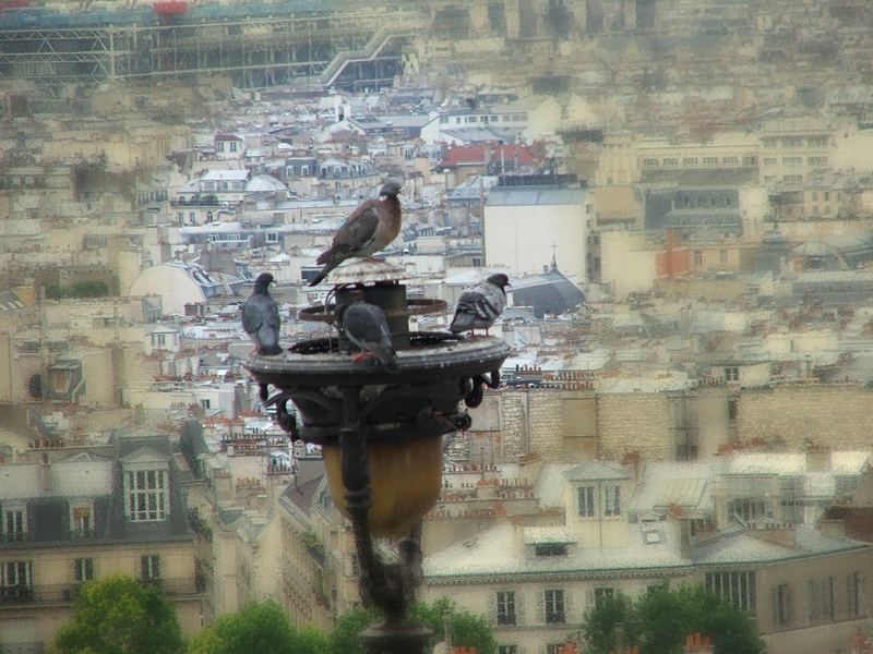 Himmel über Paris - Teil II