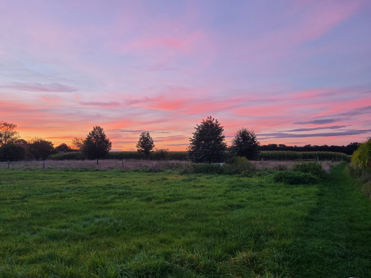 Himmel über Rodewald