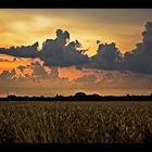 Himmel über Soest, 17.07.2009