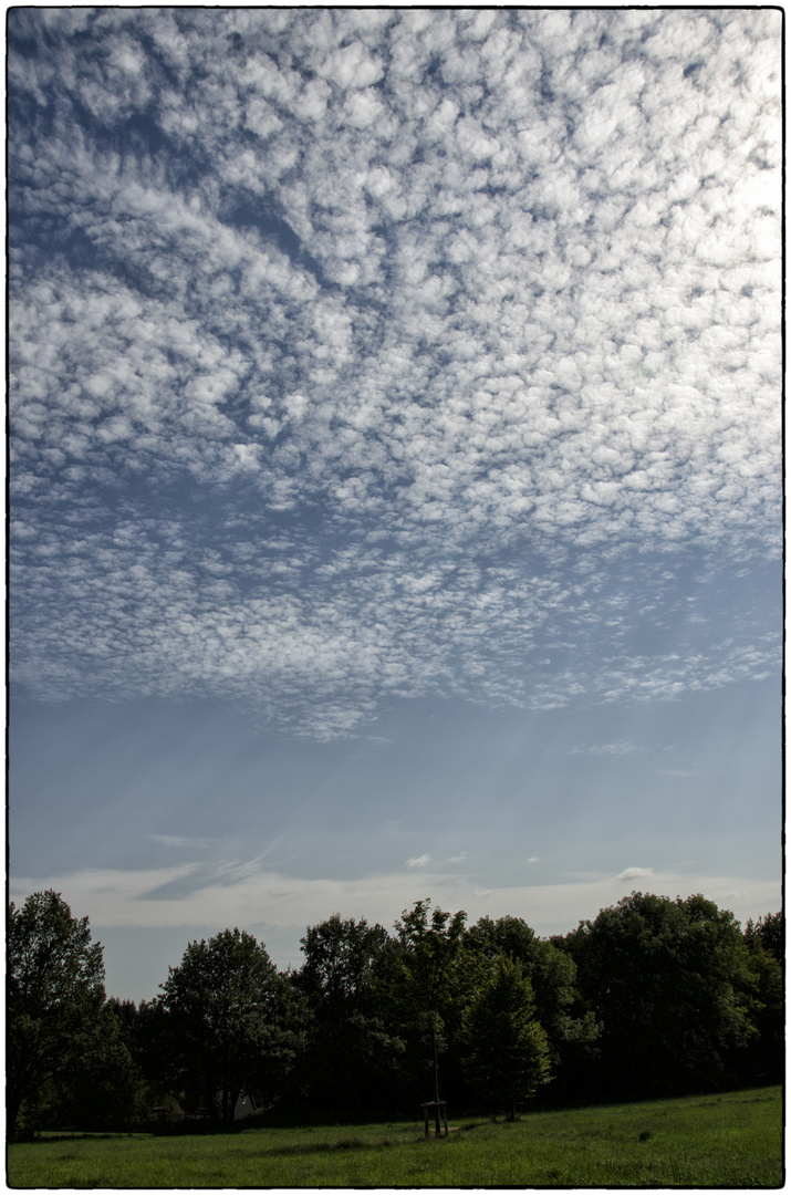 Himmel über uns I