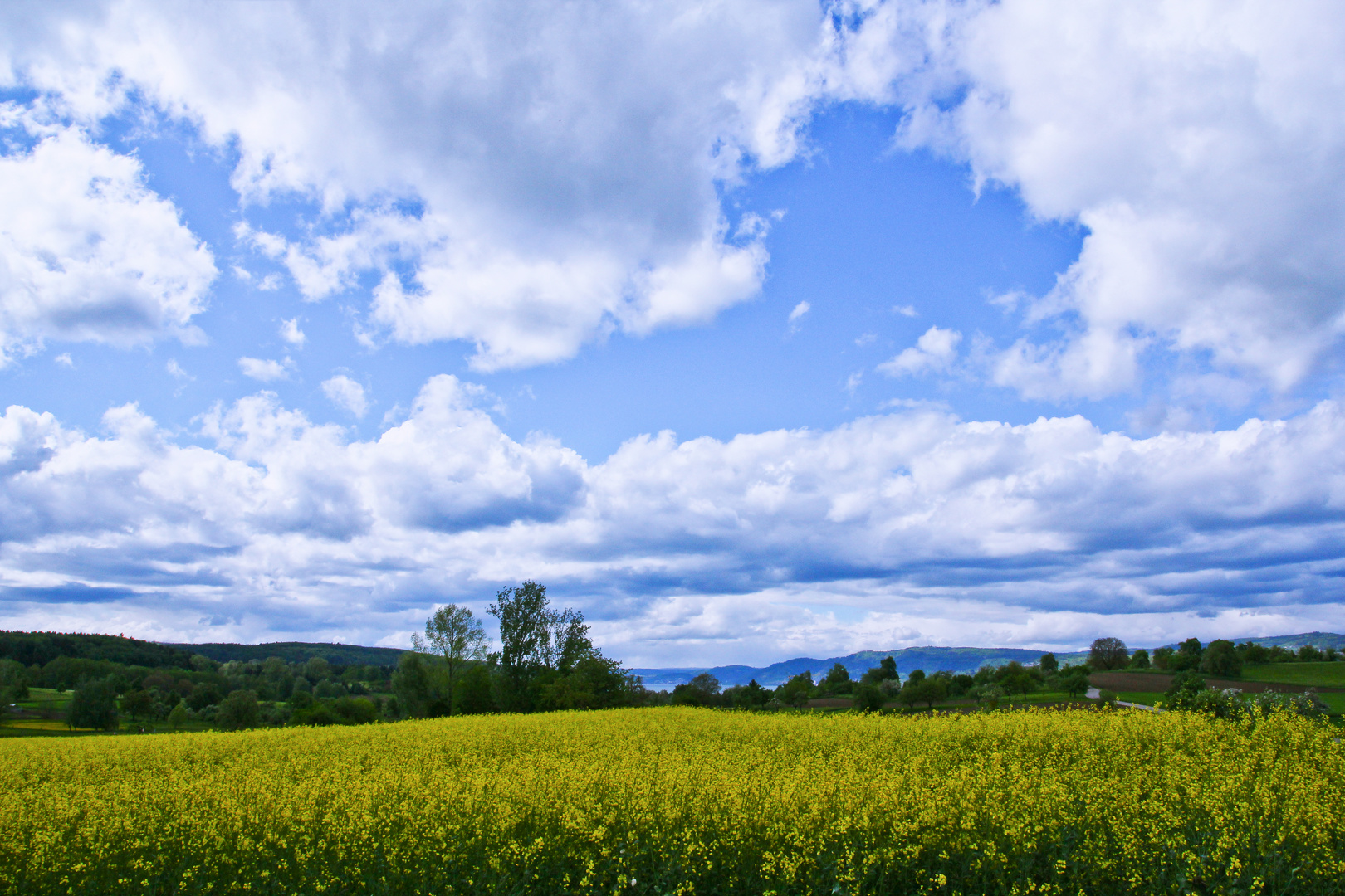 Himmel überm Rapsfeld