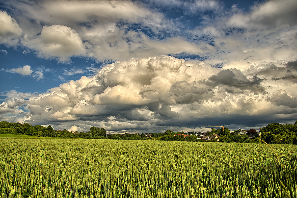 Himmel überm Weizenfeld