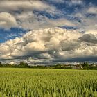 Himmel überm Weizenfeld