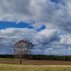 Himmel übern Heideacker