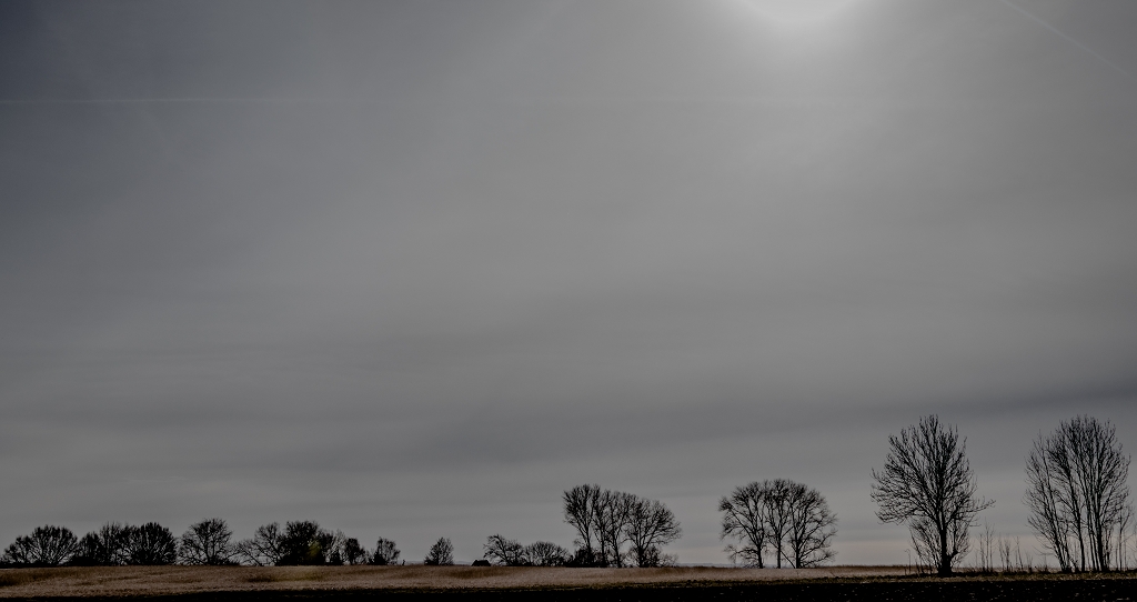 Himmel und Bäume