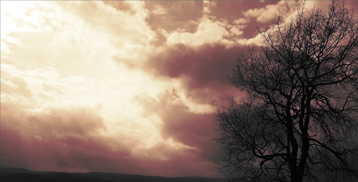 himmel und baum II