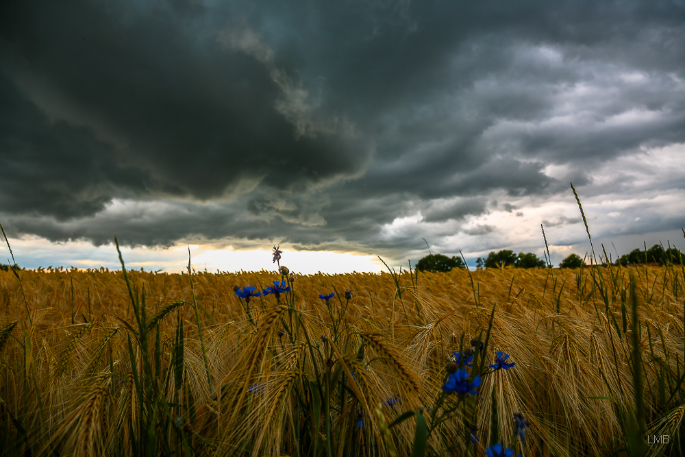 Himmel und Erde