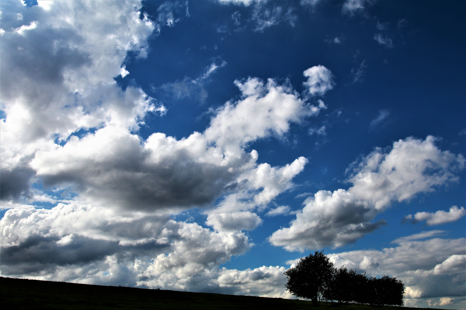 Himmel und Erde Foto &amp; Bild | fotos, dokumentation, bäume Bilder auf ...