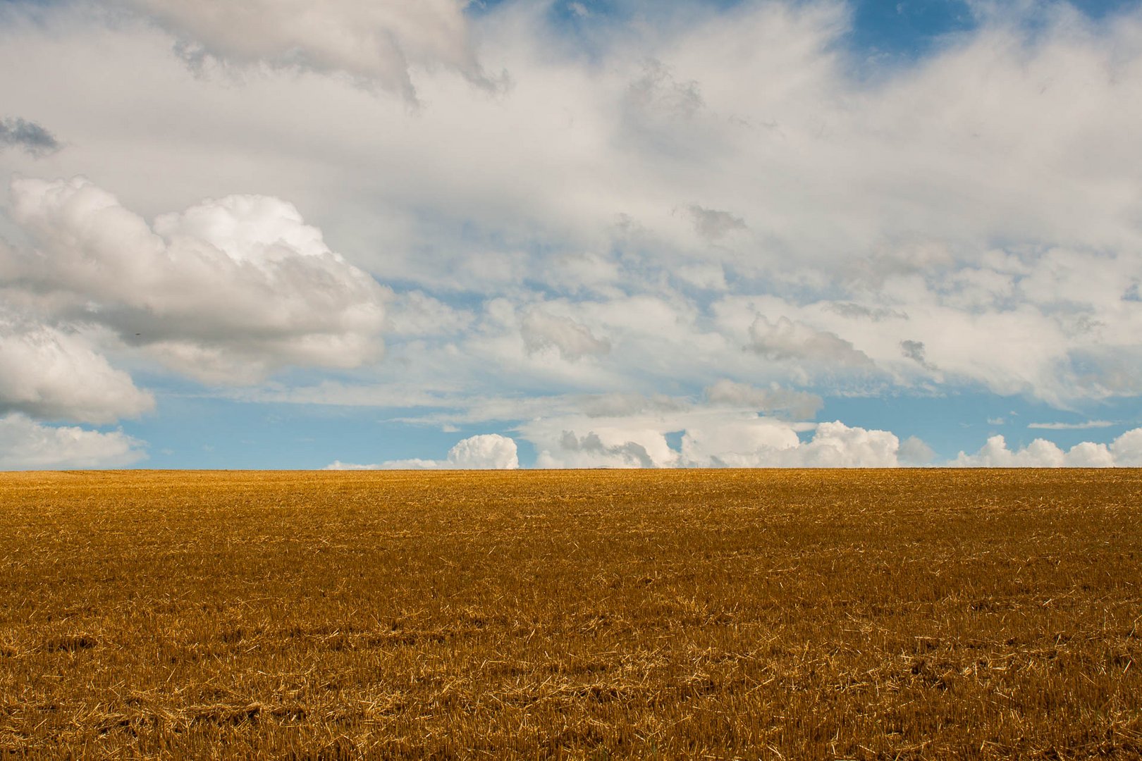 Himmel und Erde Foto &amp; Bild | wolken, feld, himmel Bilder auf fotocommunity