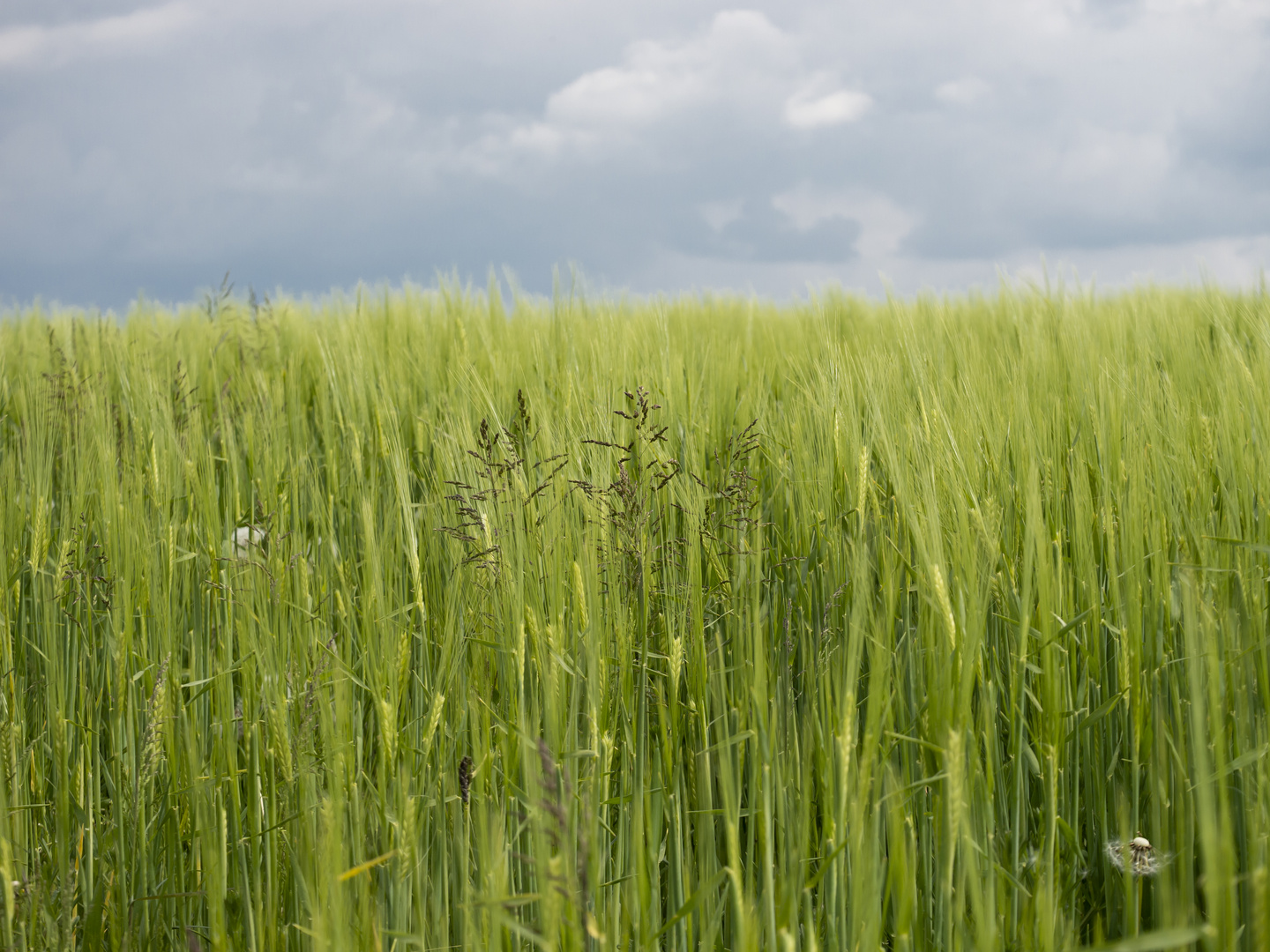 Himmel und Erde