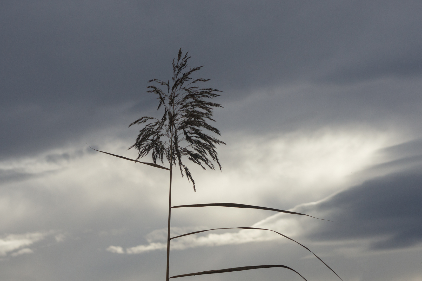 Himmel und Erde