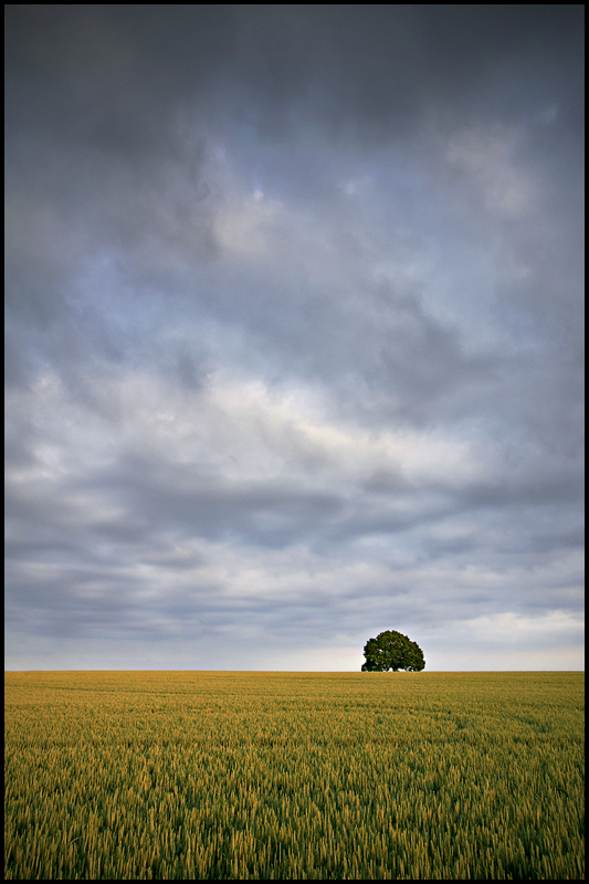 Himmel und Erde [4]