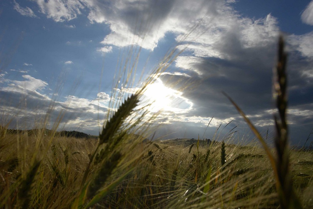 Himmel und Erde..........